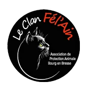Le Clan Fél'Ain
